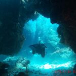 A diver swims through a dark coral arch at Palancar, the white sand lit by the sun behind him