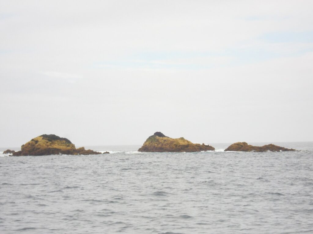 Three low rocks covered in ochre algae rise from a gray, choppy sea, fringed with a little foam, under a white, overcast sky