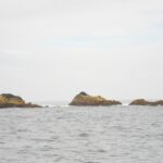 Three low rocks covered in ochre algae rise from a gray, choppy sea, fringed with a little foam, under a white, overcast sky