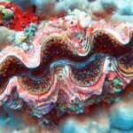A giant clam with a wavy pink, brown and blue mantle edged with orange dots, set into a gray-blue massive coral, with a red sponge and green sea squirts