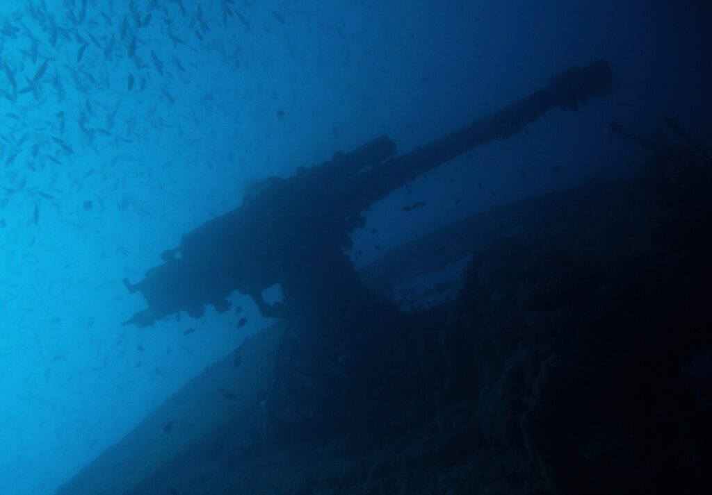 The stern gun of the Thistlegorm silhouetted against the blue, under a school of small fish