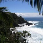 A plunging view framed by palm fronds: a headland covered in rainforest drops into the sea, waves break white on black rocks and a distant coast stands out on the horizon under a blue sky.