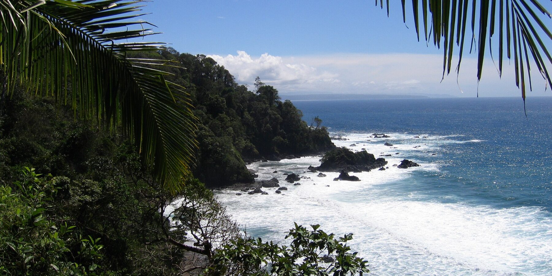 A plunging view framed by palm fronds: a headland covered in rainforest drops into the sea, waves break white on black rocks and a distant coast stands out on the horizon under a blue sky.