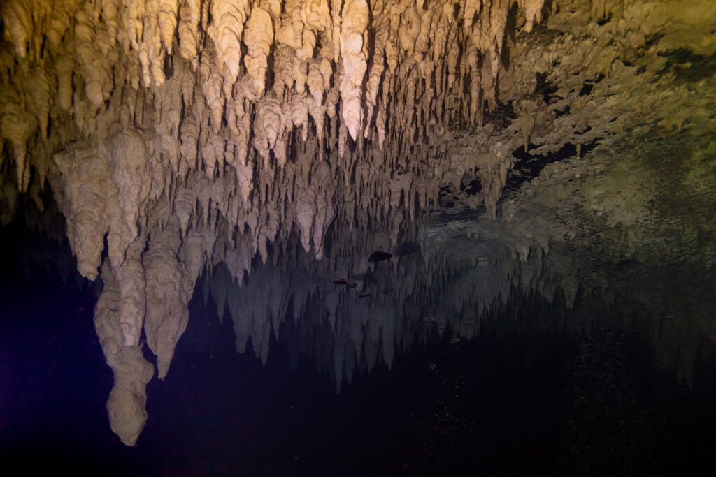 A ceiling of beige stalactites lit by a dive light, reflected in a black water surface, in The Pit Cenote