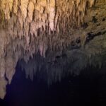 A ceiling of beige stalactites lit by a dive light, reflected in a black water surface, in The Pit Cenote