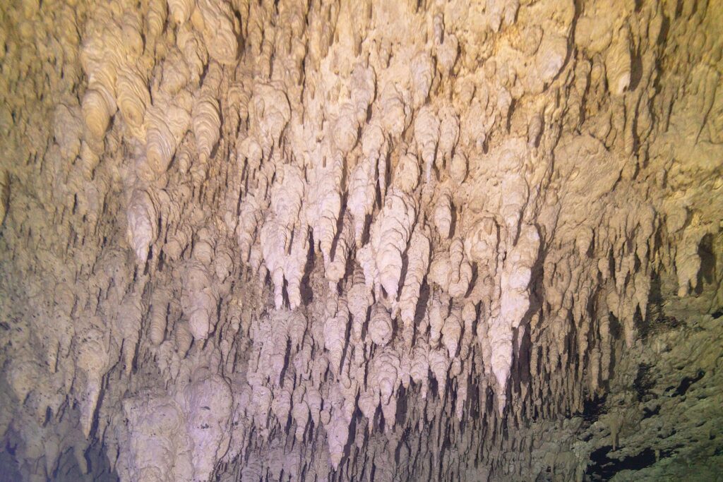 A limestone wall covered in hundreds of small white and yellow stalactites, in close-up