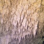 A limestone wall covered in hundreds of small white and yellow stalactites, in close-up