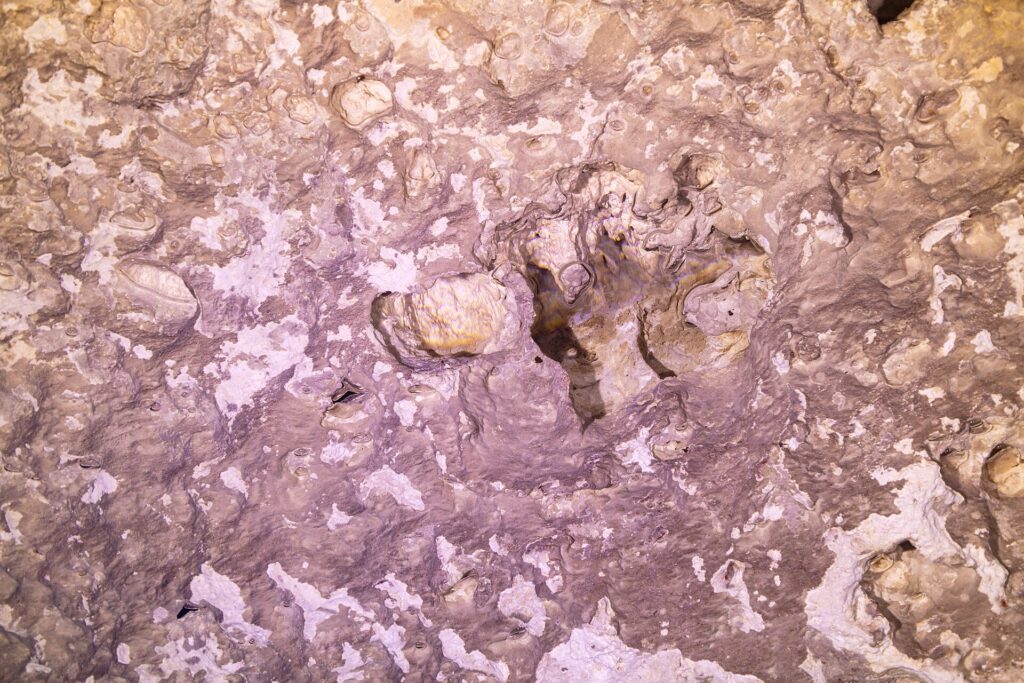 Close-up of the pink and white rock of the cenote wall, with hollows, trapped air bubbles and formations