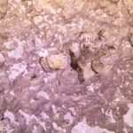 Close-up of the pink and white rock of the cenote wall, with hollows, trapped air bubbles and formations