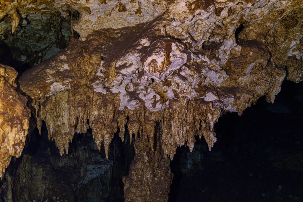 A brown and white limestone ceiling bristling with short stalactites, lit by a dive light, in the Dos Ojos cavern