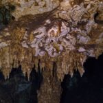 A brown and white limestone ceiling bristling with short stalactites, lit by a dive light, in the Dos Ojos cavern