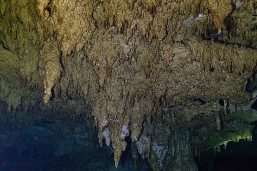 A forest of beige stalactites reaching down toward dark water, with a column in the center and a green glow on the right