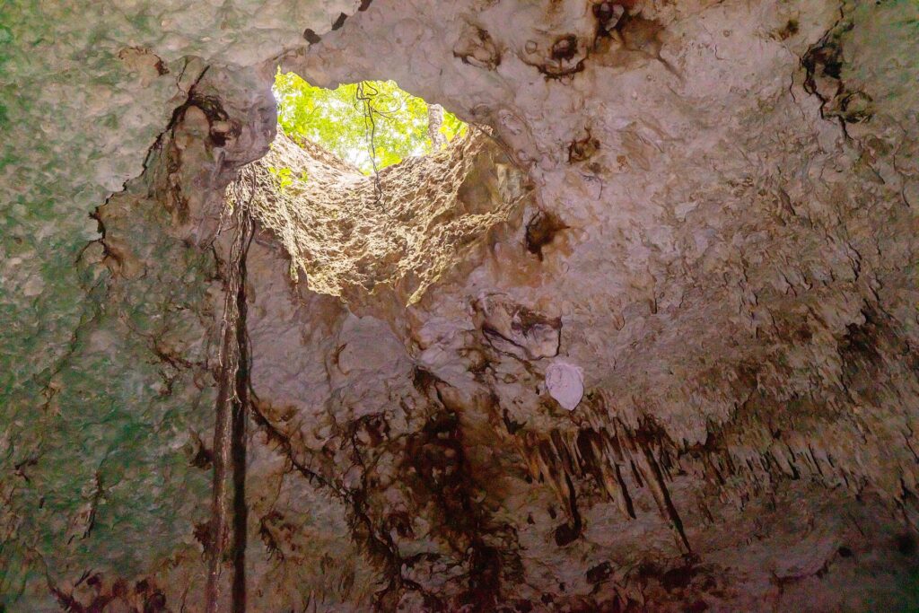 View from the water toward a round opening in the cenote ceiling, green jungle outside, hanging roots and stalactites on the white vault