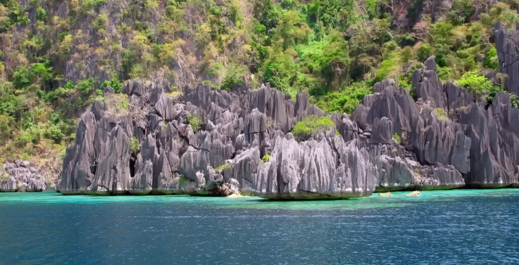 Gray limestone spires carved into blades plunge into turquoise, then deep blue water, at the foot of a forested slope.