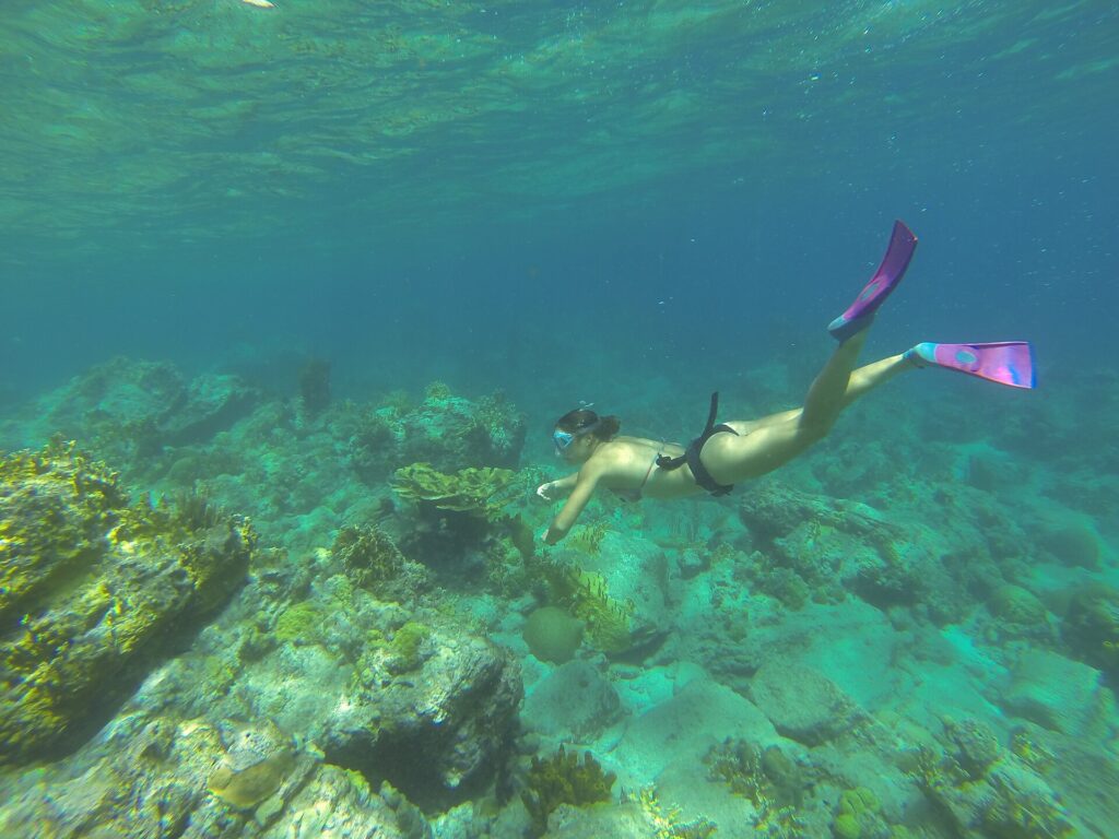 A freediver in a mask and pink fins heads down toward a bottom of rocks and corals, below the rippled surface, in turquoise water