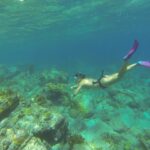 A freediver in a mask and pink fins heads down toward a bottom of rocks and corals, below the rippled surface, in turquoise water