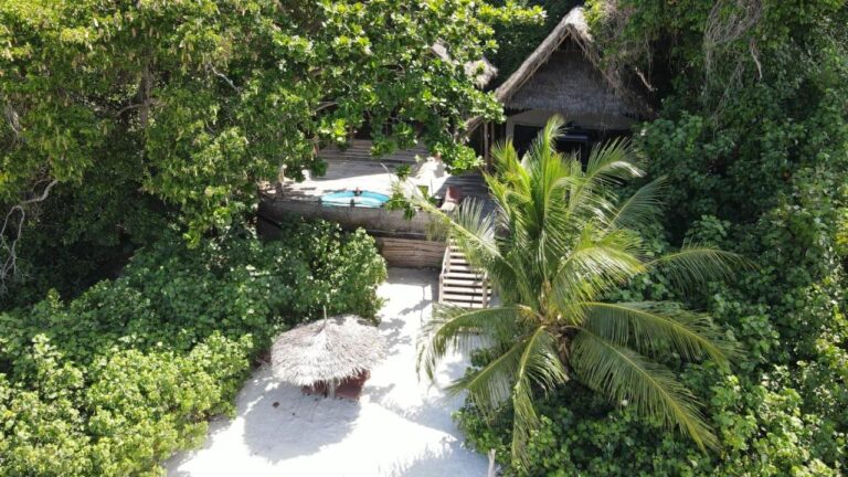 Aerial view of a thatched bungalow, its terrace with a plunge pool and the stairs down to the sand