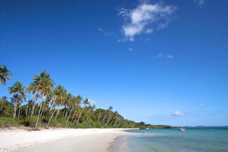 A white sand beach lined with coconut palms, with a sailboat in the distance