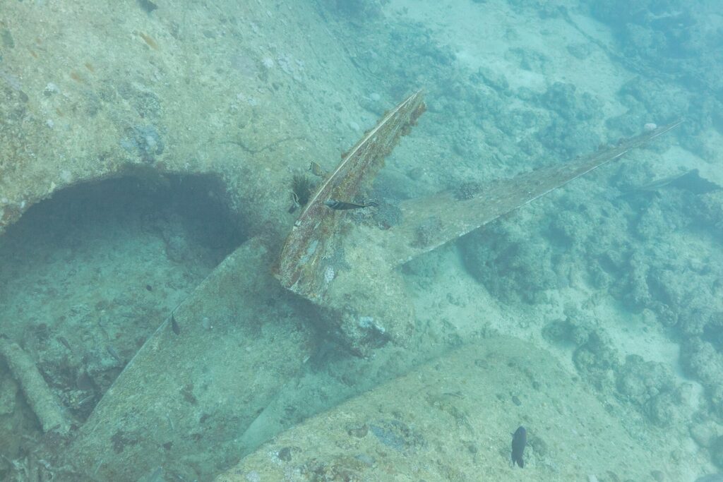 A blade of the Thistlegorm's propeller, covered in growth, resting on the sand next to the hull