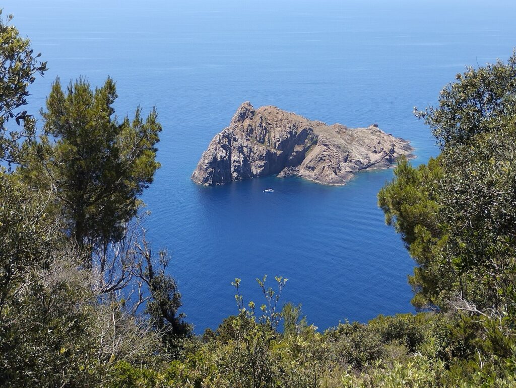 View looking down from the heights of Port-Cros, between pines and shrubs, onto the steep rocky islet of La Gabinière on a deep blue sea, with a small white boat moored at its foot.