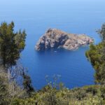 View looking down from the heights of Port-Cros, between pines and shrubs, onto the steep rocky islet of La Gabinière on a deep blue sea, with a small white boat moored at its foot.