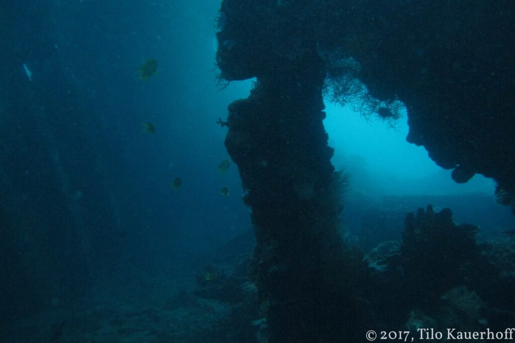 An opening in the Liberty's dark structure, with beams covered in concretions and a few yellow fish, against blue-green water