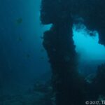 An opening in the Liberty's dark structure, with beams covered in concretions and a few yellow fish, against blue-green water