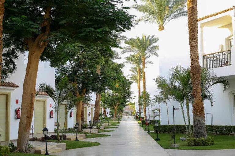 A path lined with palm trees and lampposts, between white buildings