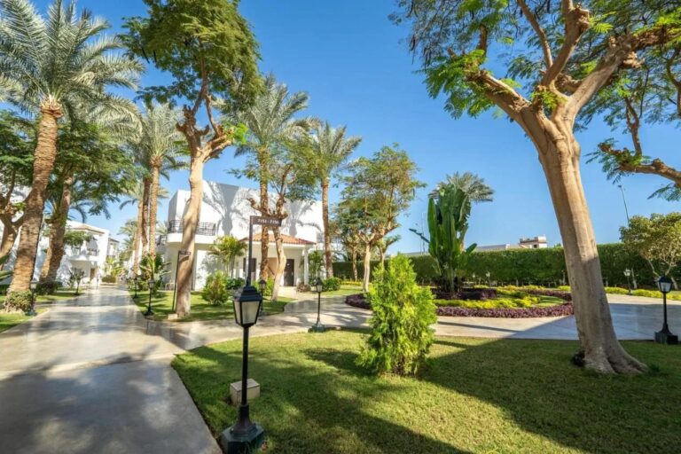 The garden, its lawns, palm trees and paths, in front of a white building