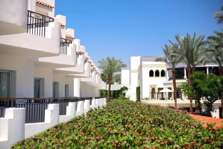 The white buildings of JAZ Fanara Resort, their balconies and the palm trees, behind a flowering hedge
