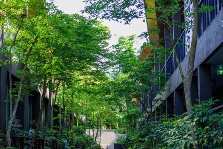 A tree-lined path between two buildings of the resort