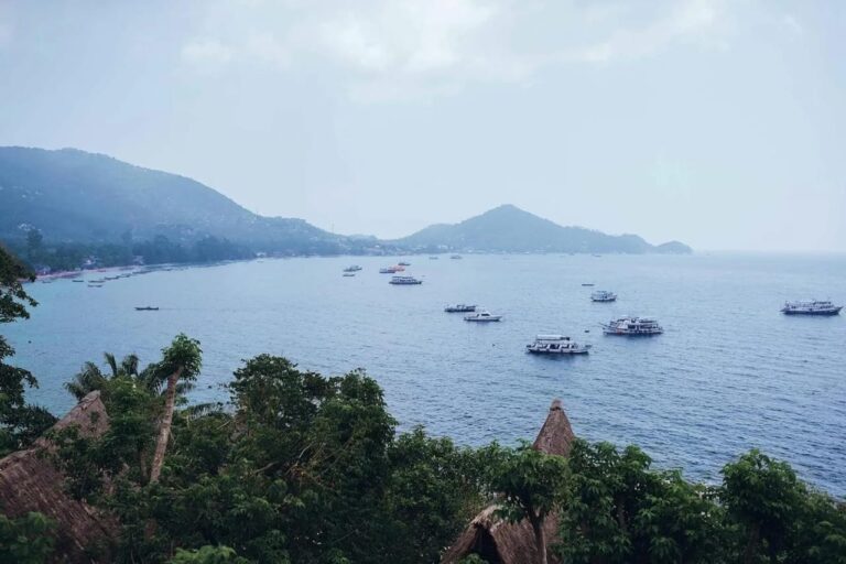View over the bay and its moored boats, above the thatched roofs