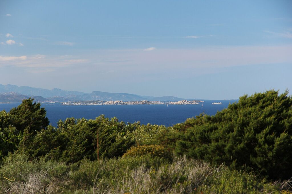 View from the coastal scrub onto a long, low island of pale granite boulders on a dark blue sea, with a sailboat at its foot and bluish mountains on the horizon.