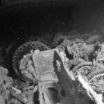 Motorcycles stacked in the hold of the Thistlegorm, black and white photo, tires and wheels still visible