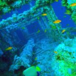 The superstructure of the Numidia covered in soft corals, orange anthias all around and an emperor angelfish in the foreground, in blue-green water