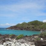 A turquoise cove sheltered by a point of dark rock covered in scrub, seen from the islet's rocks, under a blue sky