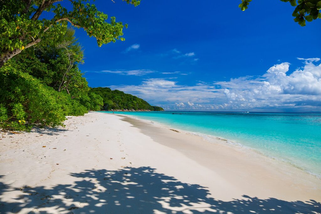 The white sand beach of Koh Tachai lined with trees under a blue sky, with turquoise water on the right and a line of buoys offshore