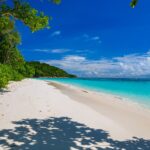 The white sand beach of Koh Tachai lined with trees under a blue sky, with turquoise water on the right and a line of buoys offshore