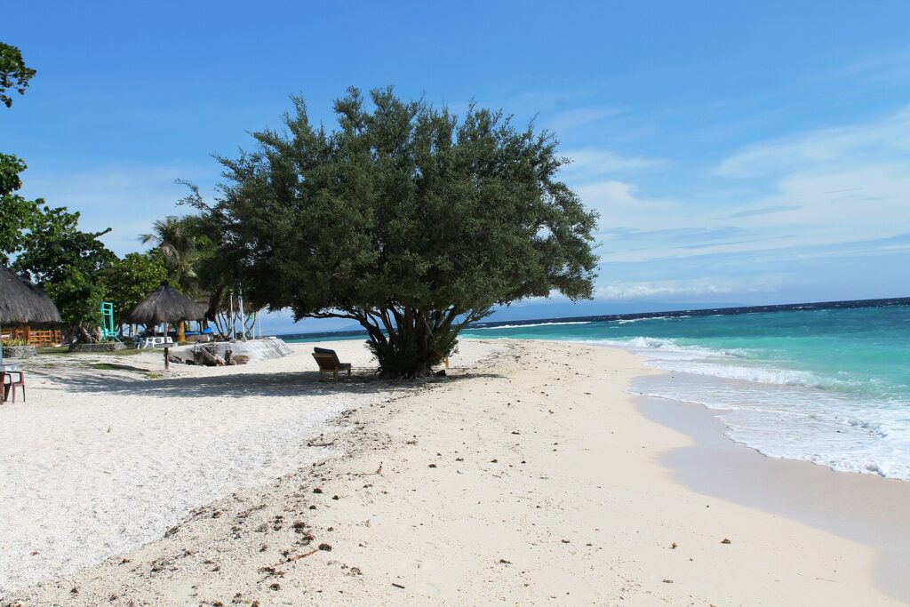 A white sand beach where a large leafy tree shades a lounge chair, thatched huts on the left and the turquoise sea breaking gently on the right, under a blue sky.