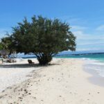 A white sand beach where a large leafy tree shades a lounge chair, thatched huts on the left and the turquoise sea breaking gently on the right, under a blue sky.