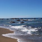 A golden brown sand beach where foam-fringed waves break, in front of a blue sea dotted with black rocks to the horizon, under a cloudless sky.