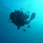 A diver in silhouette seen from below, tank, regulators and fins outlined against turquoise water, bubbles rising toward the sunlit surface.
