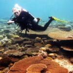 A diver in a black wetsuit glides over a garden of hard corals, brown tables and branches, on a Maldives reef flat