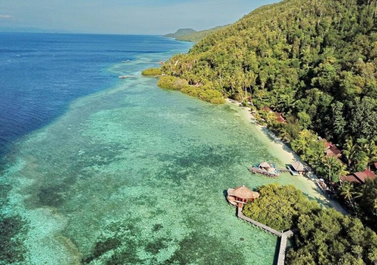 Aerial view of the wooded coast, with the lodge's roofs along the beach and the turquoise water