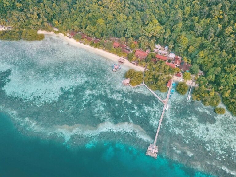 A long wooden jetty running from the beach out to sea, seen from the air