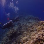 Two divers follow the outer wall of the Blue Hole, covered in hard corals and anthias, with the deep blue on the left