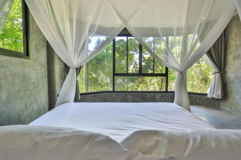 The view from the bed, through the mosquito net, of the trees beyond the picture window