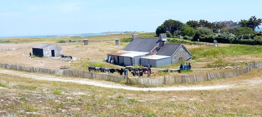 A long stone farmhouse with slate roofs extended by sheet-metal outbuildings, in front of which a long row of wetsuits dries on a chestnut-paling fence, in the middle of low heathland, with the sea and a lighthouse in the distance.