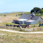 A long stone farmhouse with slate roofs extended by sheet-metal outbuildings, in front of which a long row of wetsuits dries on a chestnut-paling fence, in the middle of low heathland, with the sea and a lighthouse in the distance.