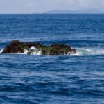 The top of Richelieu Rock breaking the surface at low tide, a dark rock covered in green algae and pounded by waves, with the Surin Islands on the horizon
